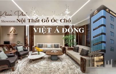 Showroom Việt Á Đông chi nhánh Hà Nội - Khơi nguồn cảm xúc với nội thất sang trọng, tinh tế